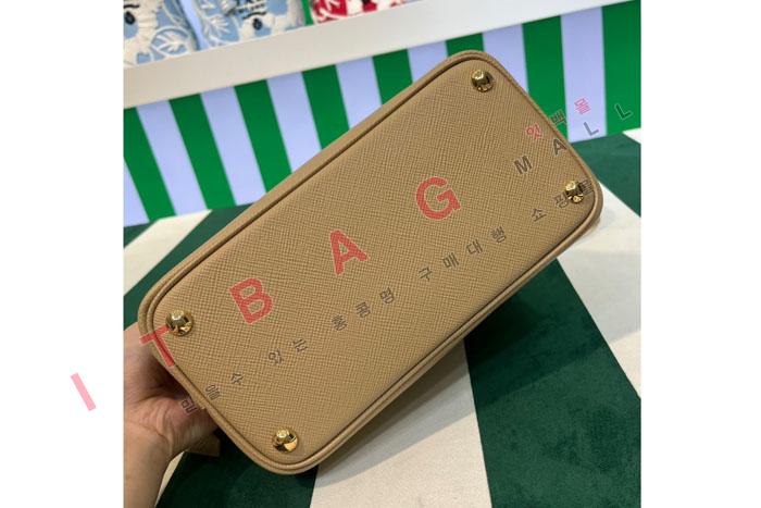   ǾƳ ̴ Ʈ ũν 1BG443-2 (̾)