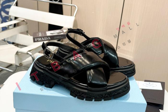      SH4846     6CM